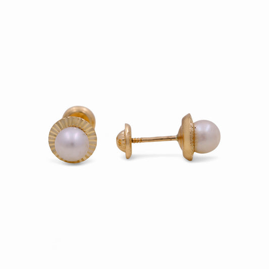 14K Yellow Gold Fashion Stud Earrings with Pearl / 6-681901PN