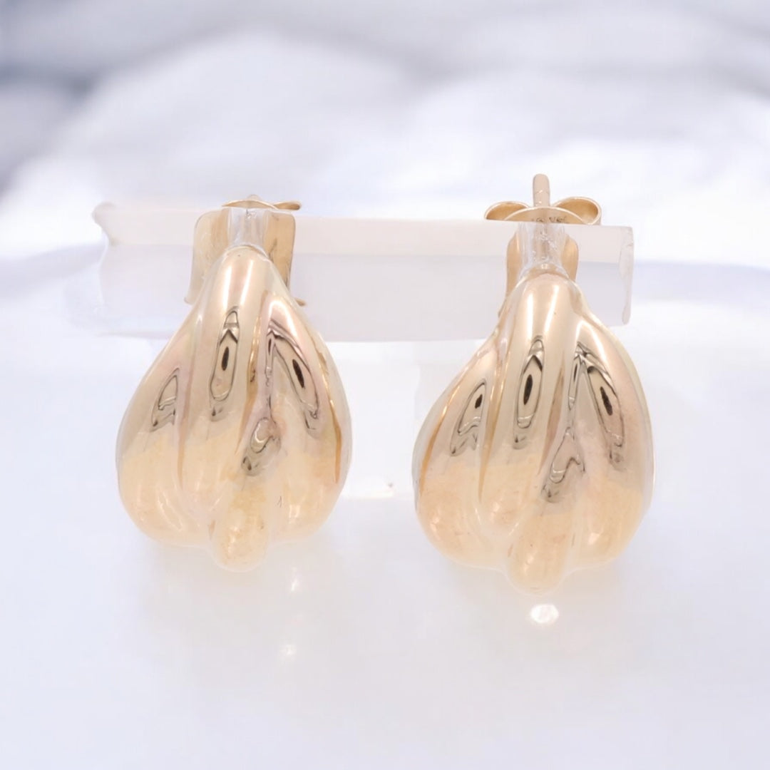 14KT Yellow Gold Fashion Earrings / COES4FS-21