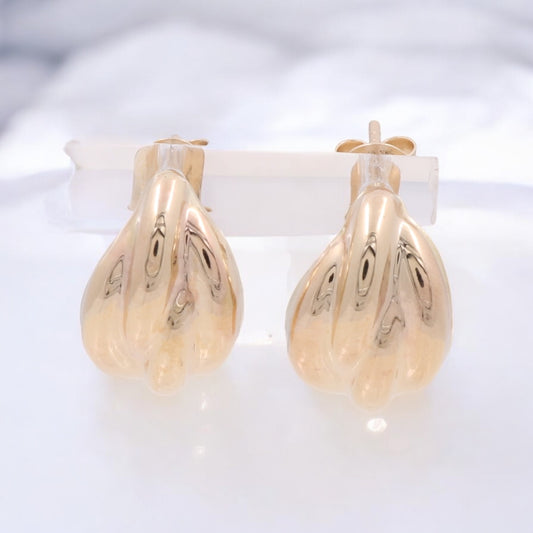 14KT Yellow Gold Fashion Earrings / COES4FS-21