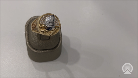 14K Yellow and White Gold RD Shark Men's Ring with Cz / Size: 10 / Weight: 7.4 GR / COMRTT4SHR