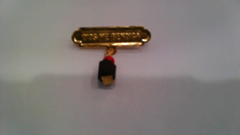 Broche Azabache en Oro Amarillo de 14 K